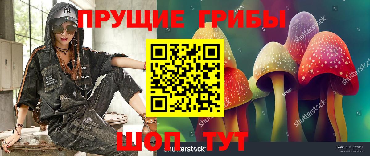 APVP Избербаш