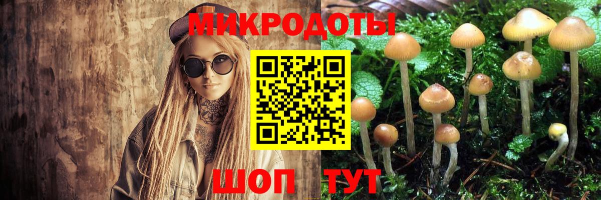что такое   Галлюциногенные грибы Psilocybe  Вход с VPN  Избербаш 