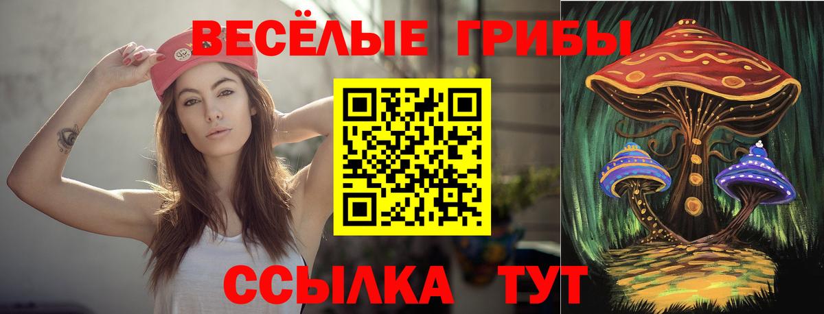Псилоцибиновые грибы Magic Shrooms Избербаш